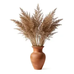 Lancewood