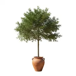 Lead tree