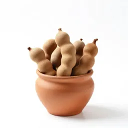 Manila tamarind