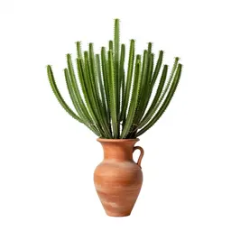 Palo verde