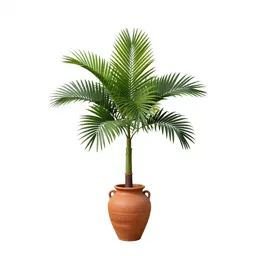 Pandanus