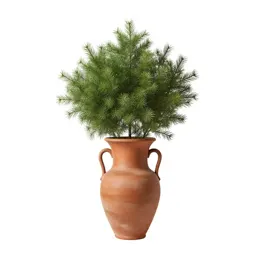 Ponderosa