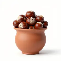 Rose chestnut