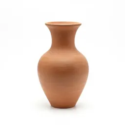 Souari