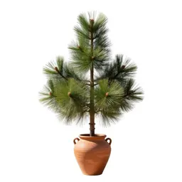 Southwestern white pine