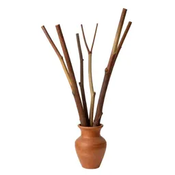 Stringybark