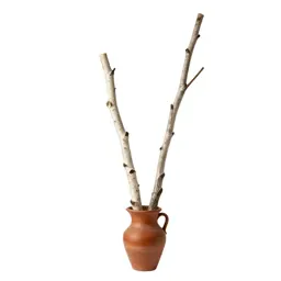 Sweet birch