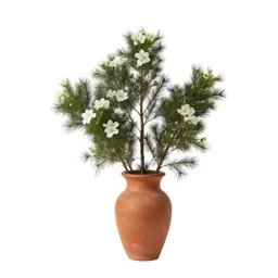 White mallee