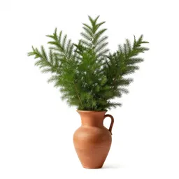 Yew