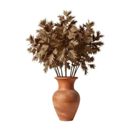Zebrawood