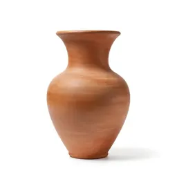 Idesia