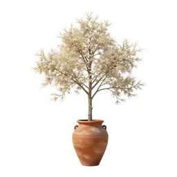 Ivory tree