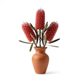 Banksia