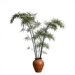 Black bamboo