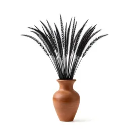 Black grama
