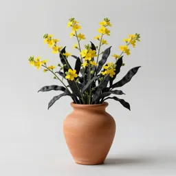 Black medick