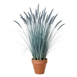 Bluestem