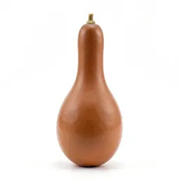 Bottle gourd