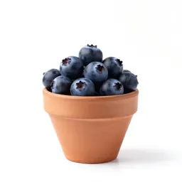 Box huckleberry