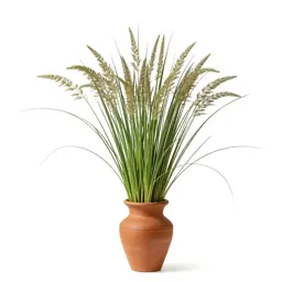 Brome