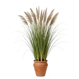 Broom sedge