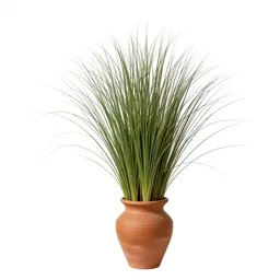 Bunchgrass