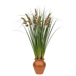 Bur reed