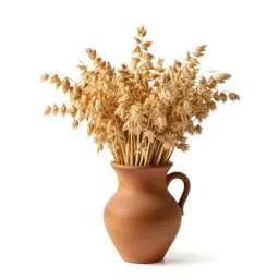 Cereal oat