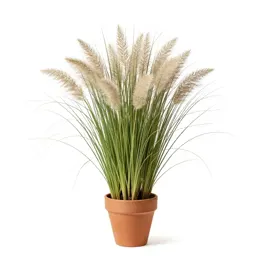 Cloud grass