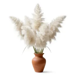 Common cotton grass