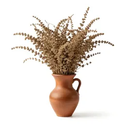 Common wormwood