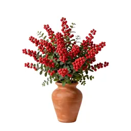 Coralberry