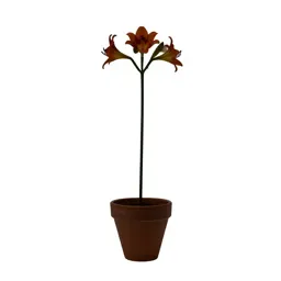 Corn lily