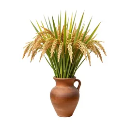 Cultivated rice