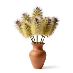 Downy yellow violet
