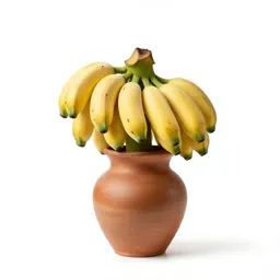 Dwarf banana