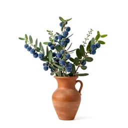 False indigo