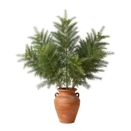False tamarisk