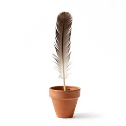 Featherfoil