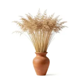 Fescue