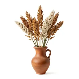 Feterita