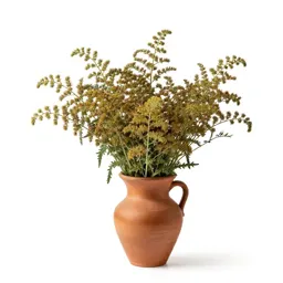 Field wormwood