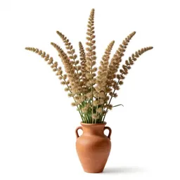Flax