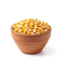 Flint corn