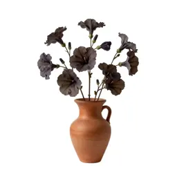 Fothergilla