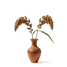 Foxtail millet
