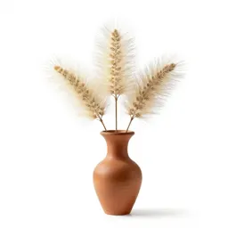 Foxtail