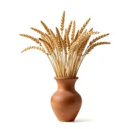 Grain
