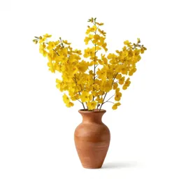 Grey goldenrod