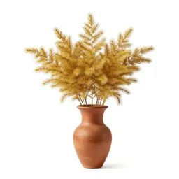 Hoary golden bush